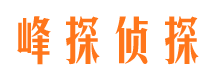 芦淞市婚外情调查